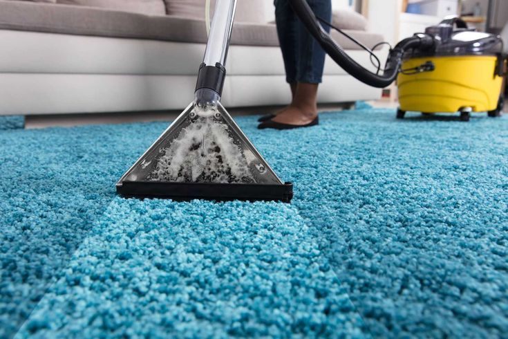 Professional carpet steam cleaning